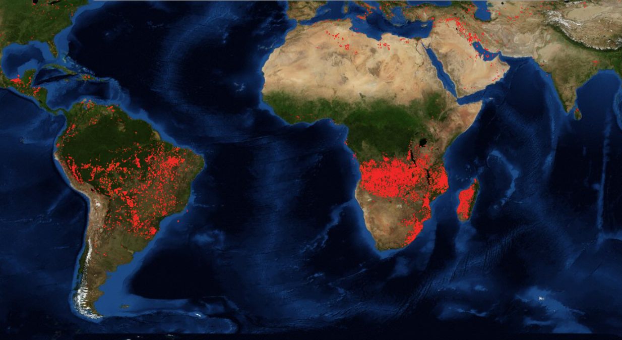 Pożary w Afryce. Nie tylko Amazonia stoi w ogniu - płoną lasy w Kongo i Angoli