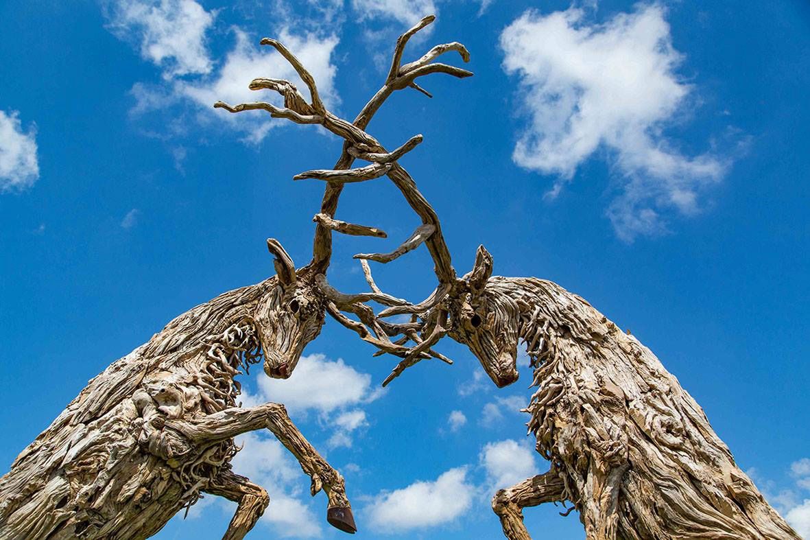 James Doran-Webb driftwood sculptor/facebook