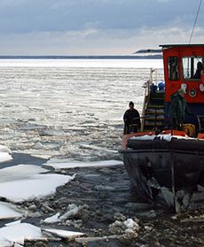 Lis ze Żbikiem kruszą lód