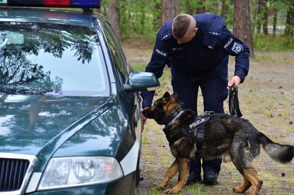 Ratują życie, chwytają przestępców. Po służbie państwo o nich zapomina