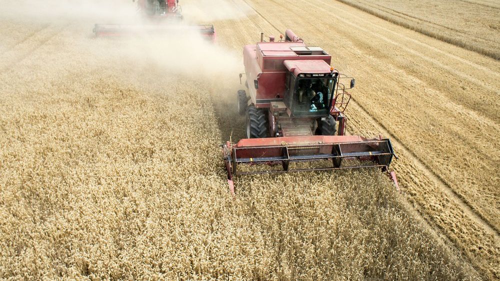 GUS. Ceny skupu podstawowych produktów rolnych w górę