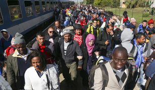 Nowa koncepcja KE ws. imigrantów. Państwa członkowskie pozostają sceptyczne