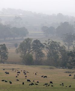 Australia walczy z pożarami. Pojawił się deszcz i nowe zagrożenie