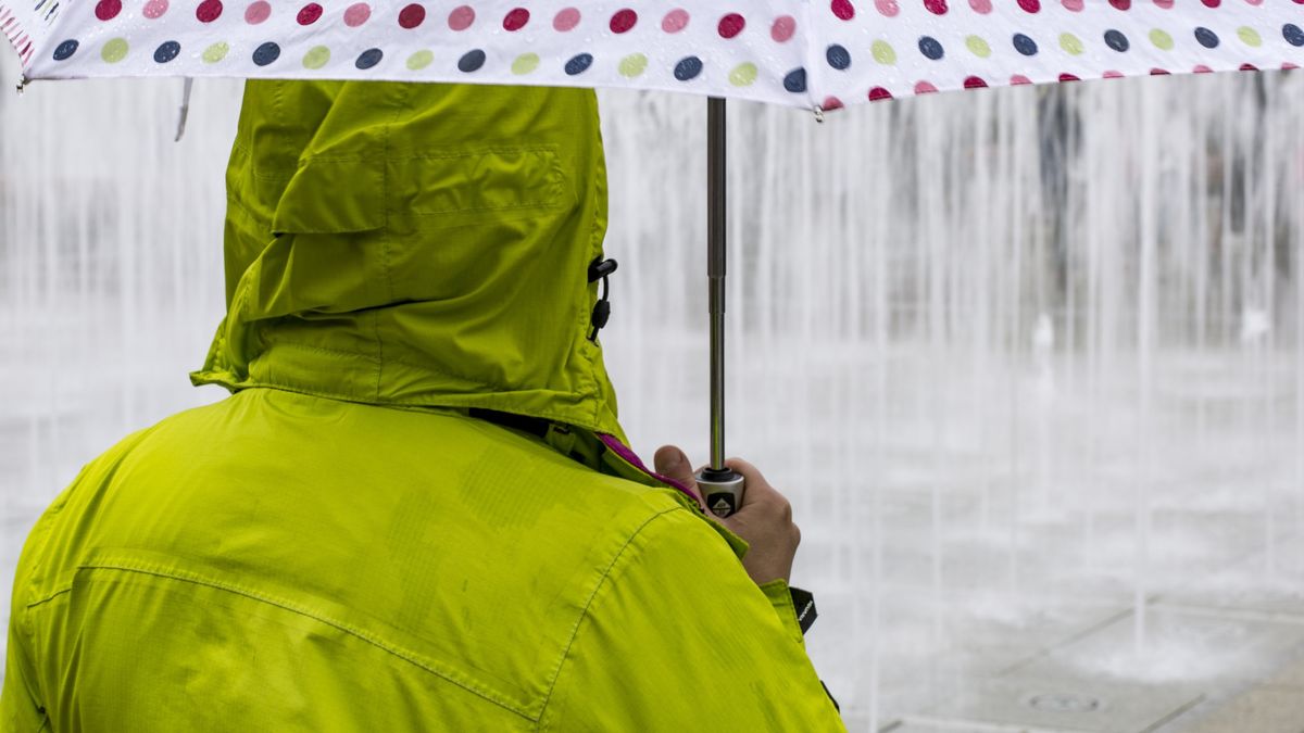 Do 500 tys. zł wzrasta pula środków w kolejnej edycji programu "Złap deszcz". 