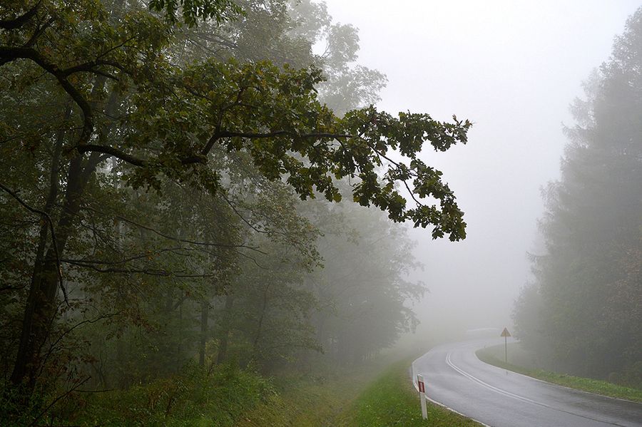 Meteorolodzy nie mają dobrych wieści dla południowej Polski. Będzie padać, możliwe podtopienia