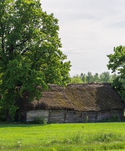 Kierunek przygoda: Przez ostępy Puszczy Knyszyńskiej