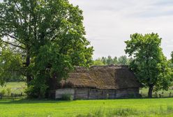 Kierunek przygoda: Przez ostępy Puszczy Knyszyńskiej