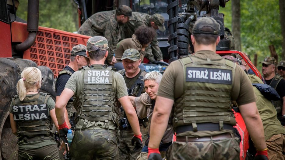 Ostateczny wyrok ws. wycinki zapadnie za kilka tygodni