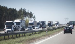 Włochy zakazują 45-godzinnego odpoczynku w kabinach. Kierowcy już nie będą przesiadywać na parkingach