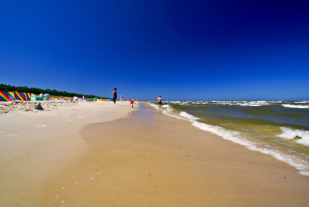 Sinice nad Bałtykiem – 22 lipiec 2019. Sprawdź, które plaże są zamknięte, nim zdecydujesz się wyjechać nad morze