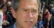 Popularny jak Bush