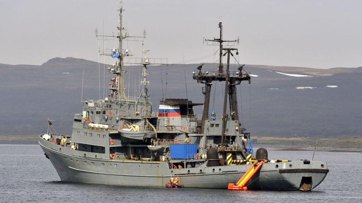 rosja łódź zwierzęta