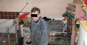 Małgorzata Rozenek zaatakowała hodowców. "Psy trzymane w masakrycznych warunkach"