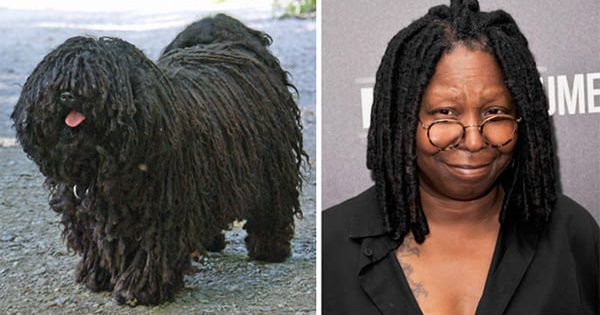 Whoopi Goldberg