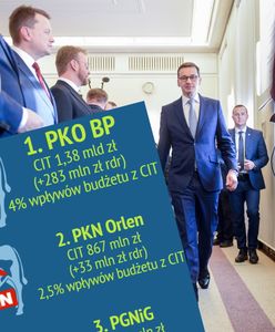 PKO BP wciąż liderem. Kto jeszcze wpłaca najwięcej do budżetu?