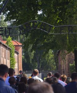 Auschwitz tylko dla polskich przewodników z licencją IPN. To pomysł małopolskiej kurator oświaty