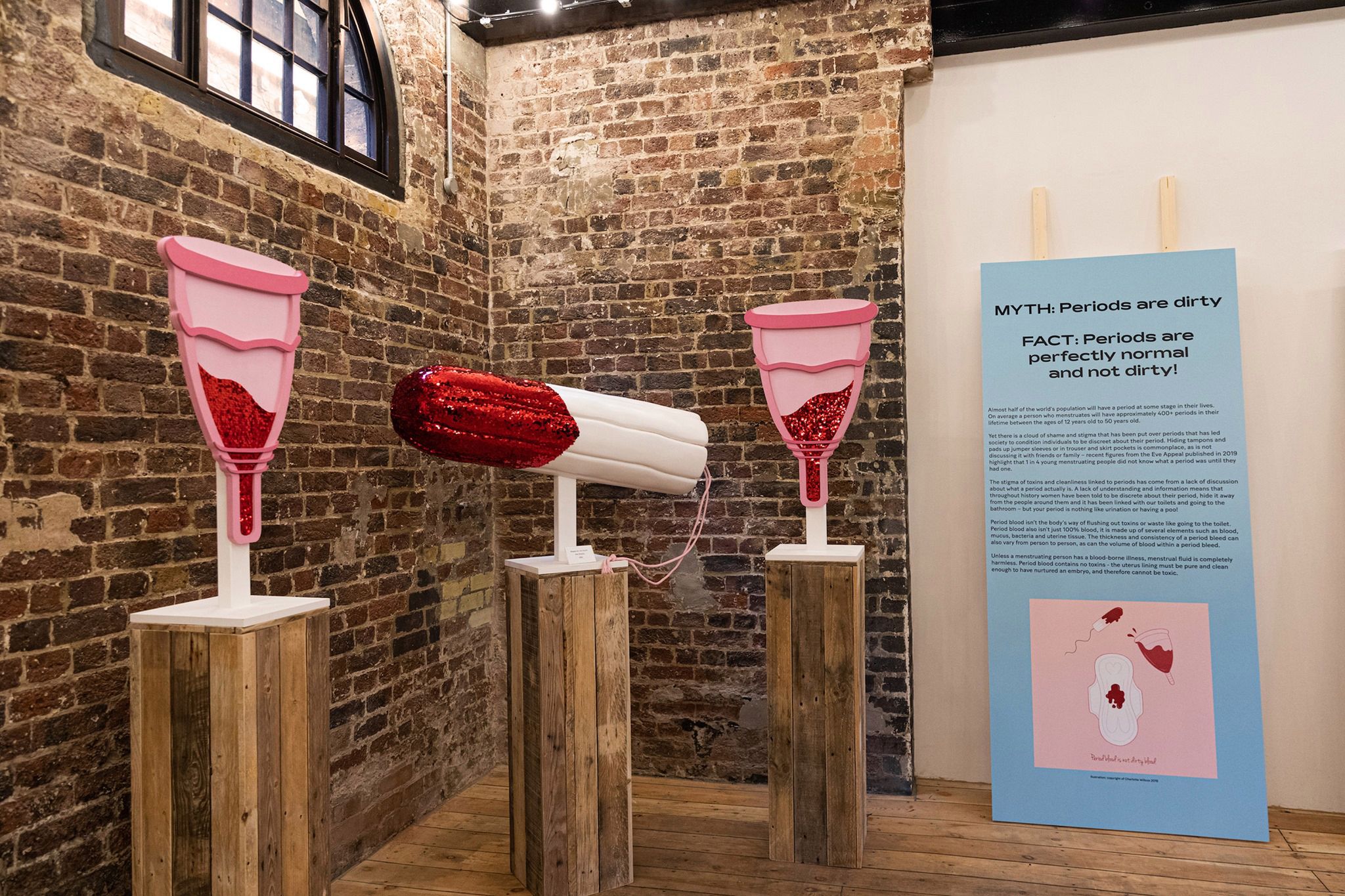 Na zdjęciu eksponaty przedstawiające kubeczki menstruacyjne oraz zakrwawiony tampon