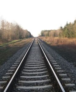 Tajemnicza śmierć pasażerki pociągu. Ciało przy torach koło Parczewa