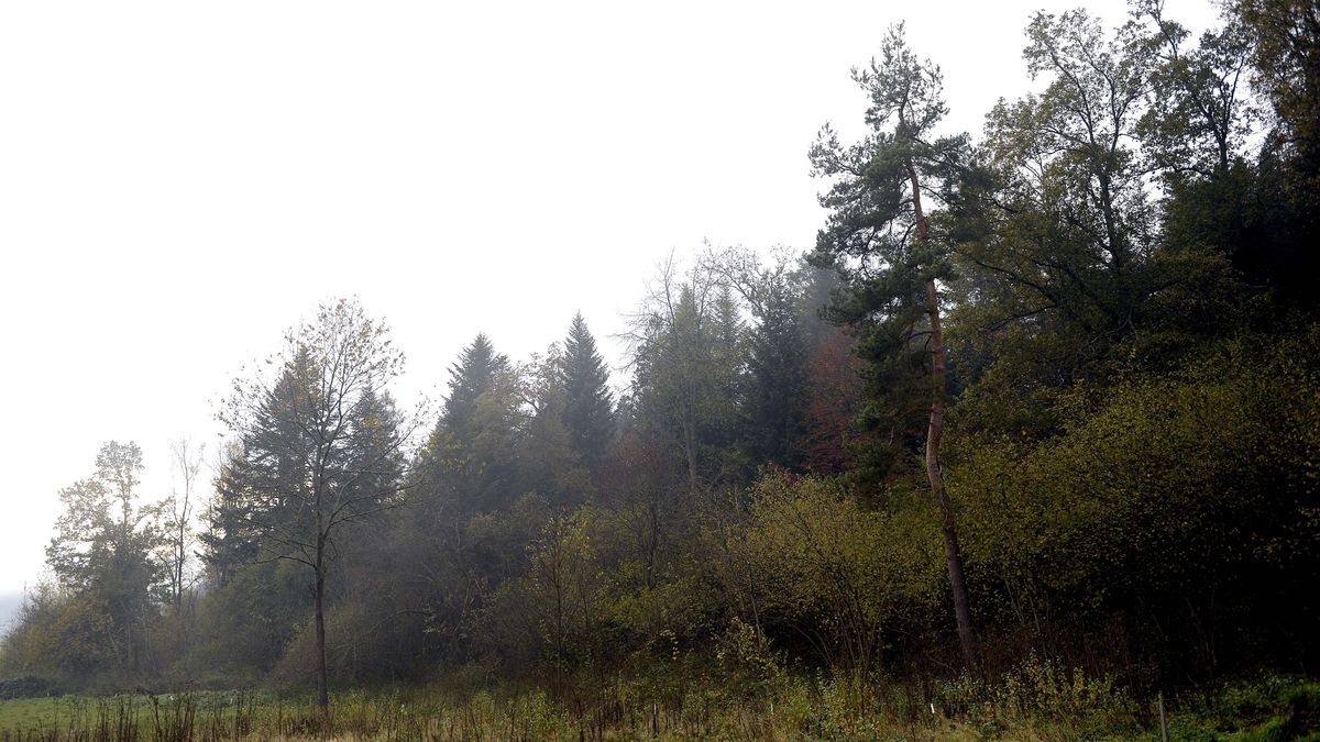 Domyślny opis zdjęcia na stronę główną