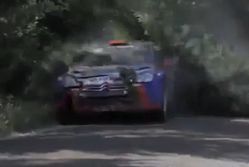 Kubica kontra las