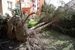 Wichury przeszły nad Polską. Wyjątkowa interwencja w Grodzisku Mazowieckim