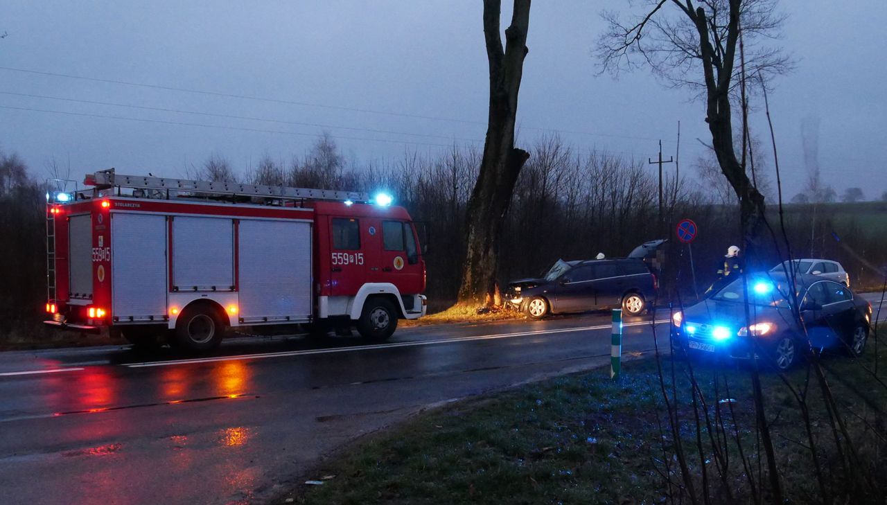 Samochód uderzył w drzewo