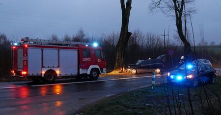 Samochód uderzył w drzewo