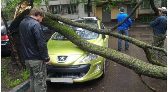 Niezbyt sympatyczny widok