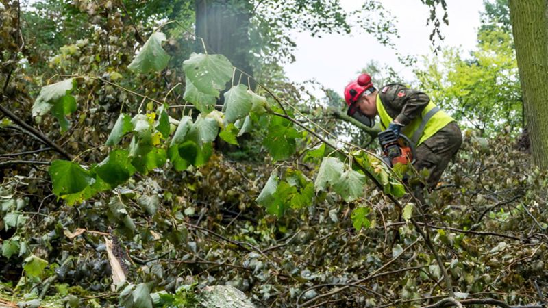 Drzewo rosnące w pobliżu placu zabaw zawaliło się. Zniszczone są urządzenia, dzieciom na szczęście nic poważnego się nie stało