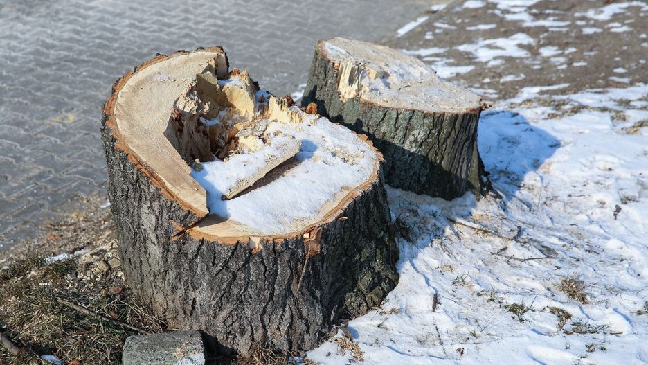 Pilarza nie udało się uratować