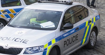 Funkcjonariusze szukają polskich tablic. Sypią się mandaty