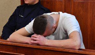 Szczecin. Zabił psa i kota, groził 13-latkowi. Idzie do więzienia na 4 lata