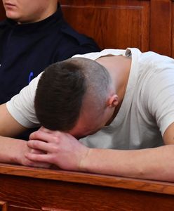 Szczecin. Zabił psa i kota, groził 13-latkowi. Idzie do więzienia na 4 lata