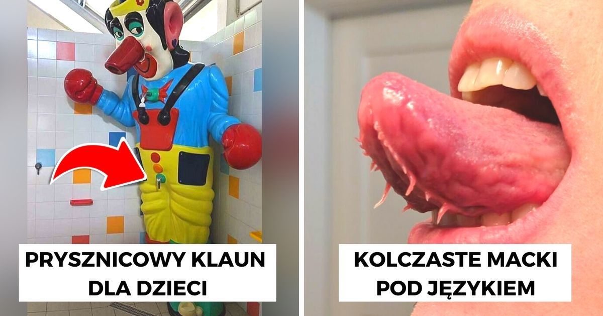 Obrazek