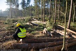 Przekop Mierzei Wiślanej. Bruksela chce wyjaśnień