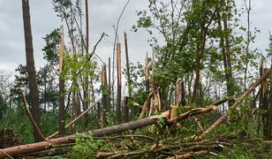 ZHR apeluje o pomoc po tragedii. Jest komunikat