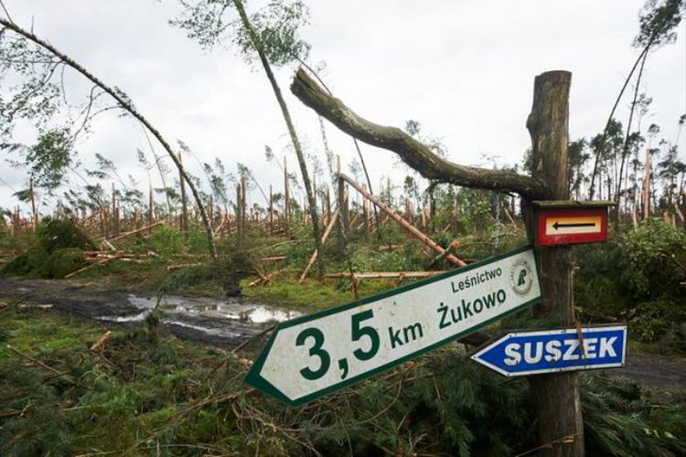 Przewodniczący ZHP i ZHR pojechali do Suszka. Oto ich relacja z miejsca tragedii