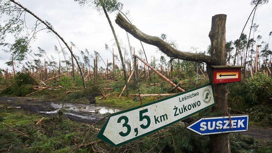 Prokuratura postawiła kolejne zarzuty po tragedii w Suszku, gdzie doszło do śmierci 2 nastoletnich harcerek