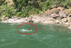 Wskoczył do rzeki i zaginął. Nagranie, to przestroga dla innych śmiałków
