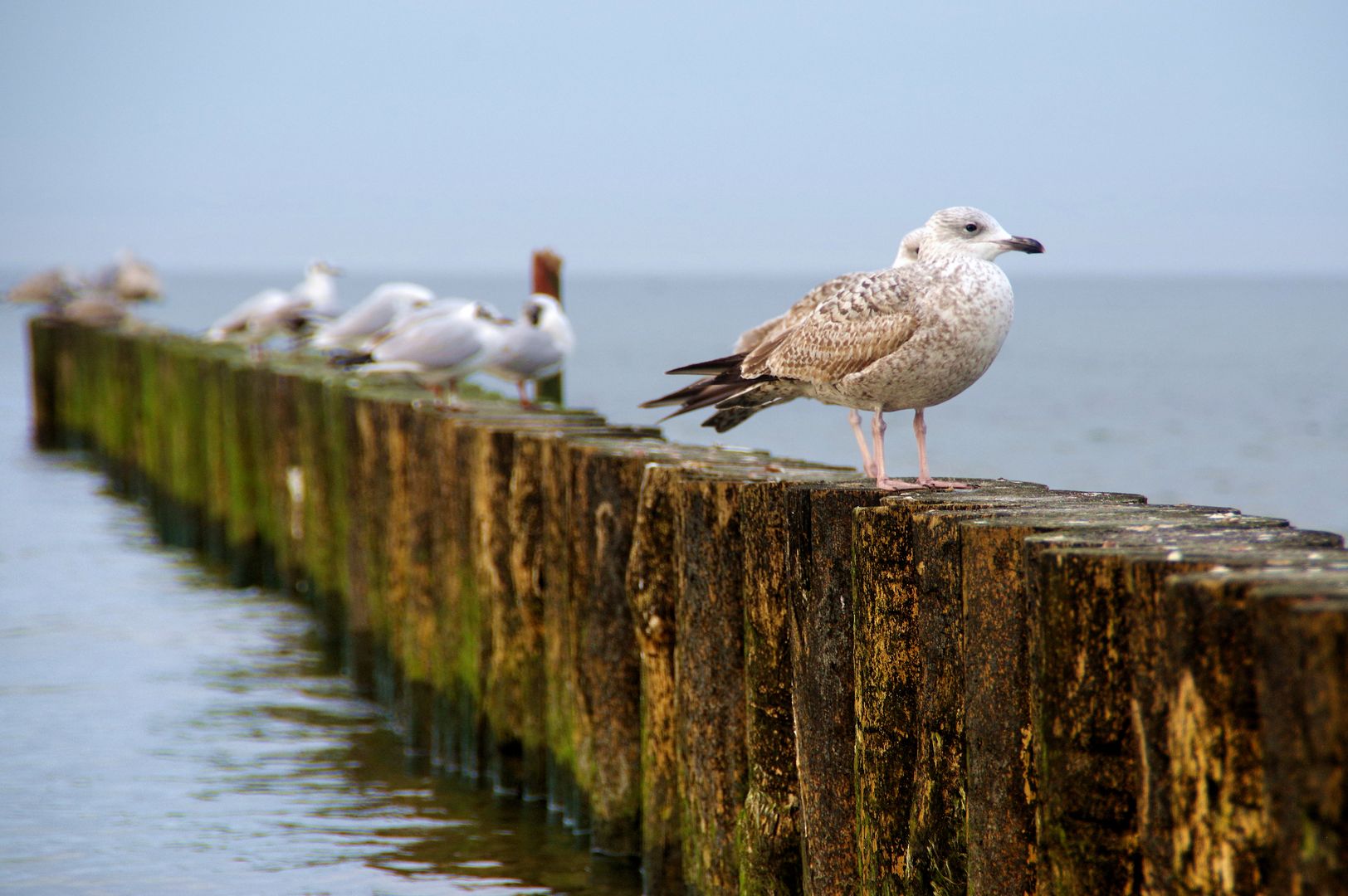 Pogoda nad morzem – słoneczny weekend nad Bałtykiem