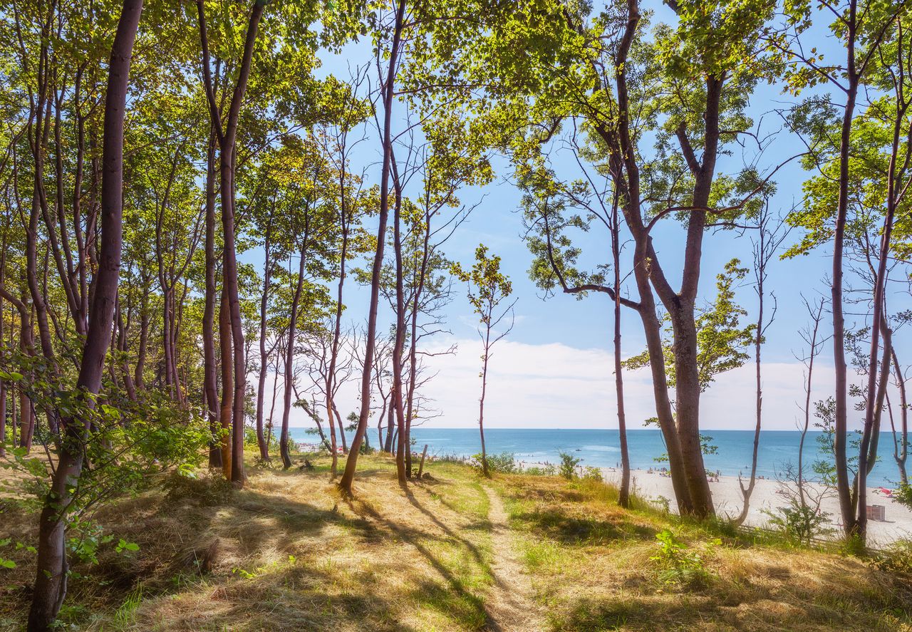 Pogoda nad morzem – chłodna środa i czwartek