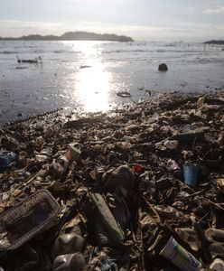 Kiedyś raje, dziś toną w odpadach. 10 najbardziej zanieczyszczonych plaż na świecie