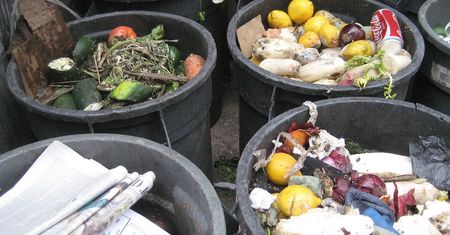 Światowe problemy z żywnością. Za dużo marnotrawstwa i niewłaściwe odżywianie