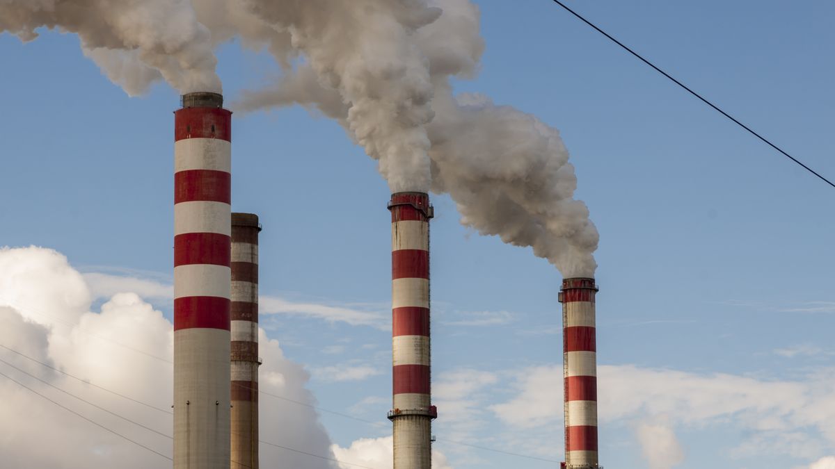 Europejski Zielony Ład wzbudza dużo kontrowersji - głównie wśród polityków z Polski.