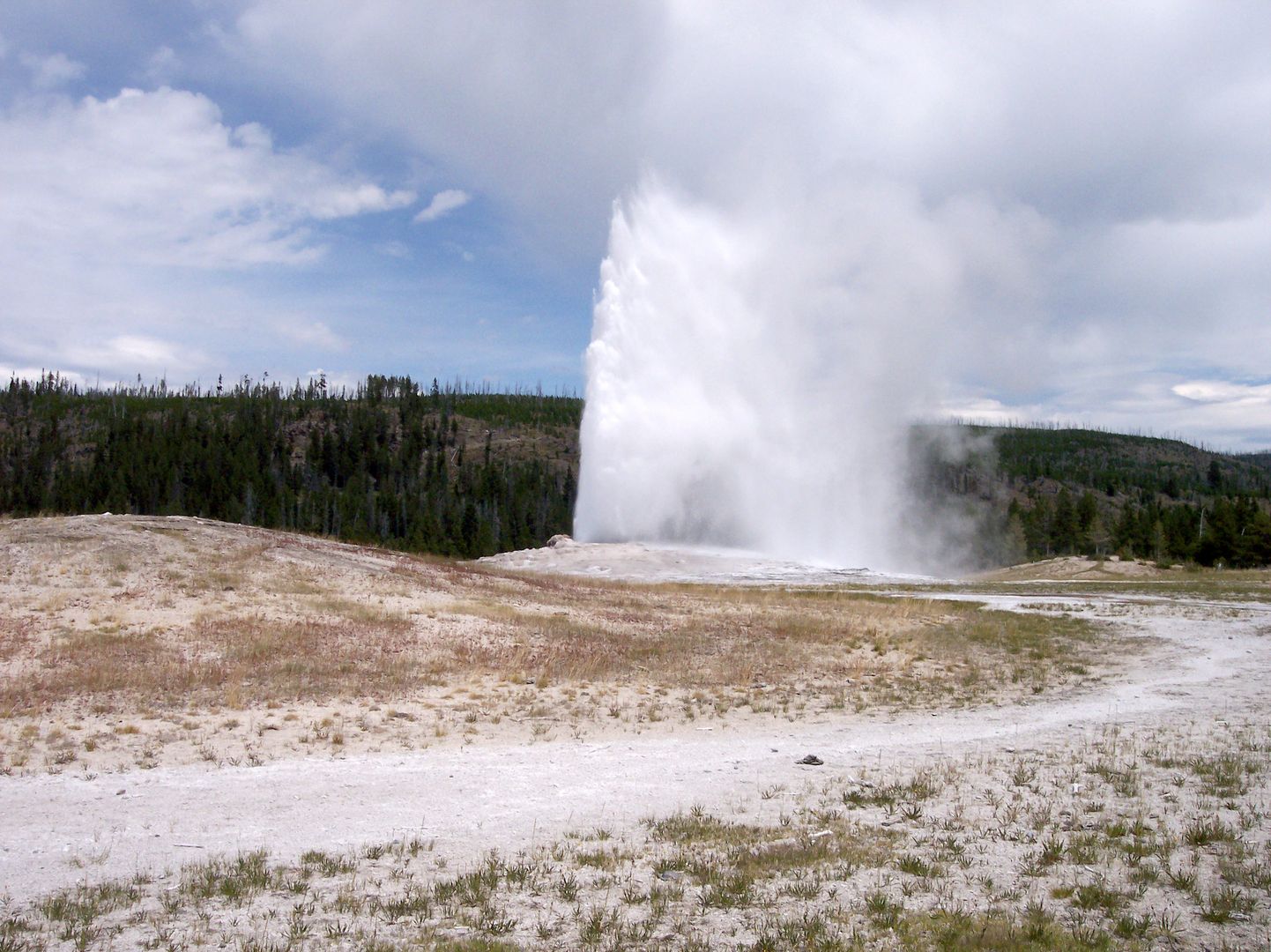 Wpadł do gorących źródeł w Yellowstone. Cudem przeżył