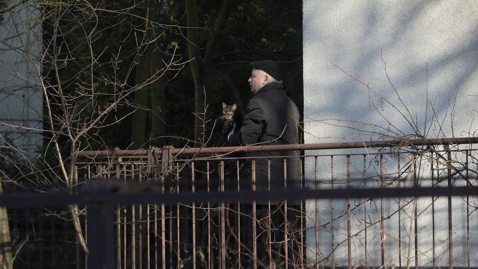 Jarosław Kaczyński troskliwie zajmuje się kotem