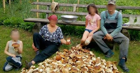 Dla takich grzybiarzy trzeba wprowadzić limity. Rodzina zebrała 100 kg prawdziwków