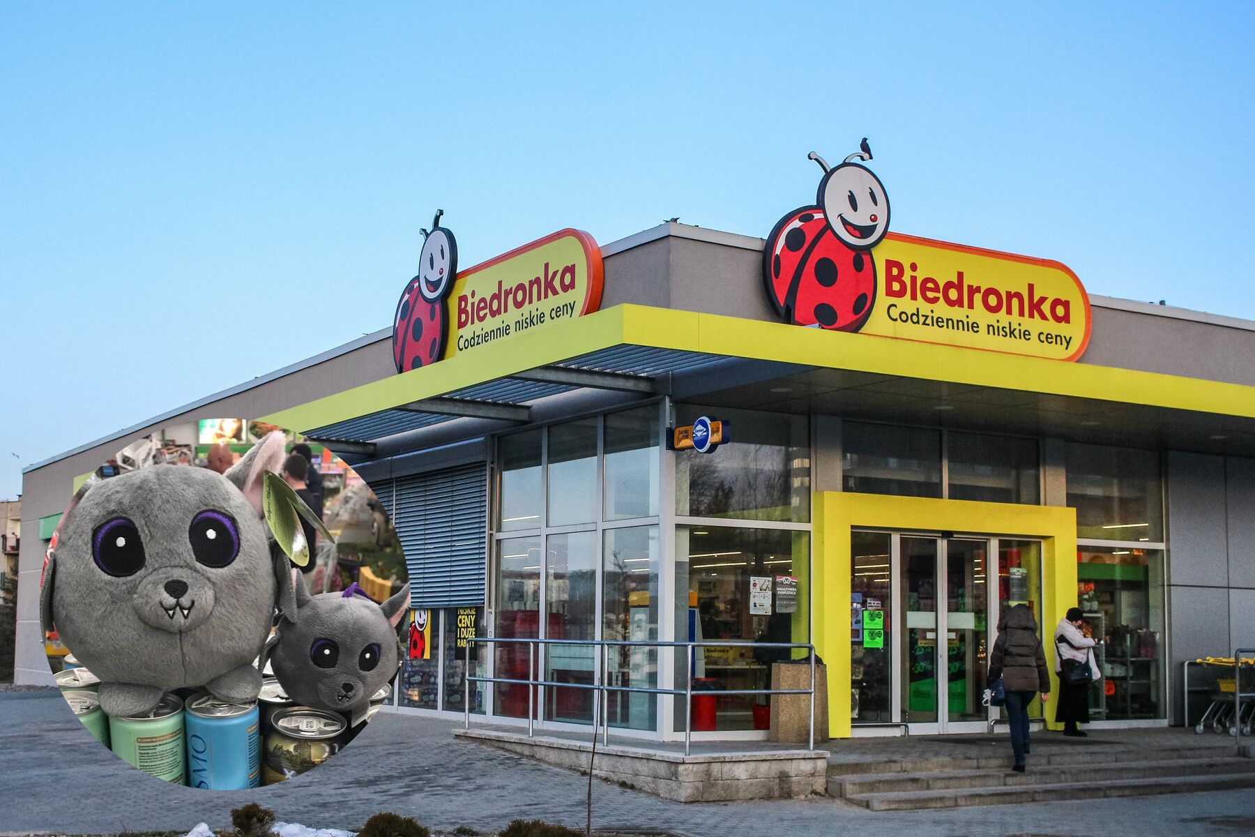 W sklepie Biedronka zabrakło Świeżaka
