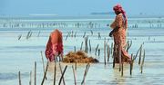 Zmysłowy Zanzibar. Gdzie afrykańska żywiołowość i muzułmańska pokora idą w parze