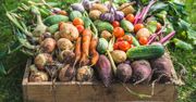 Najlepsza naturalna odżywka do warzyw. Zwiększy zbiory o 100%